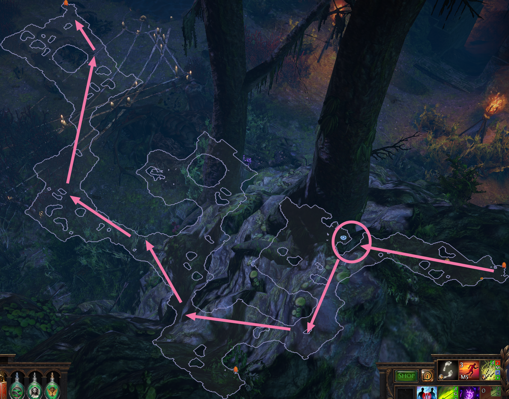 Northern Forest Variant 4